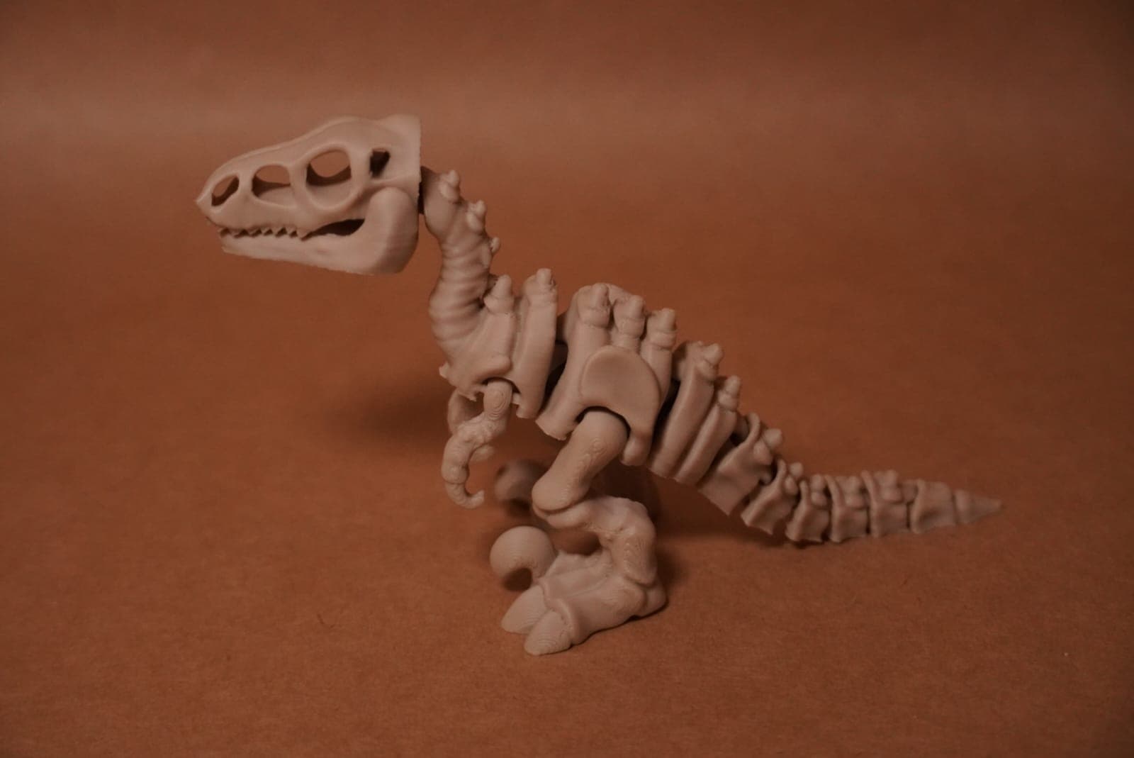 Dino Esqueleto Articulado